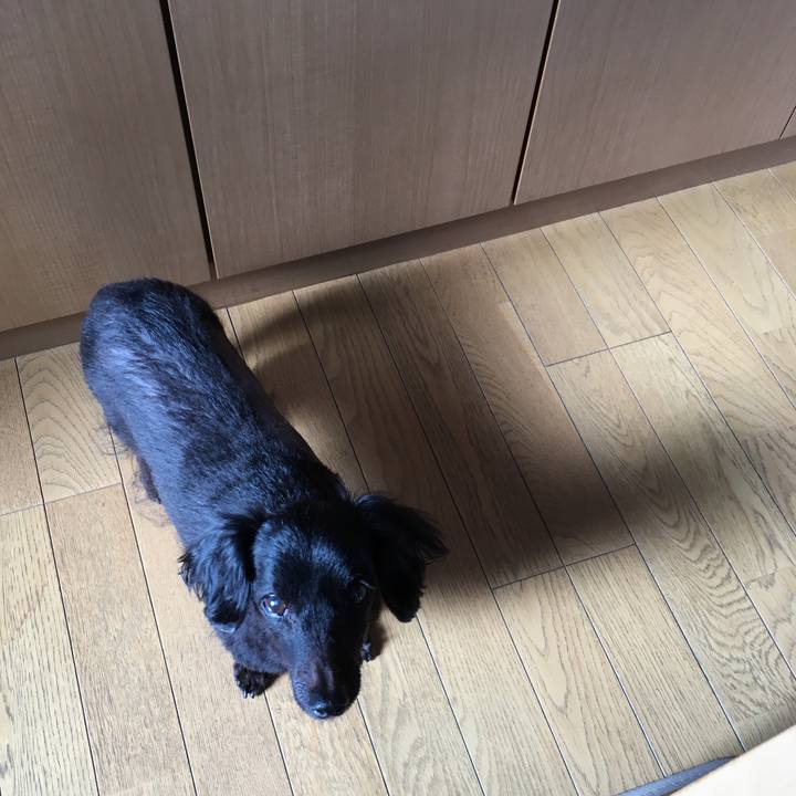 7710d396 cde4 4882 9433 3da442fac061 1540599756857