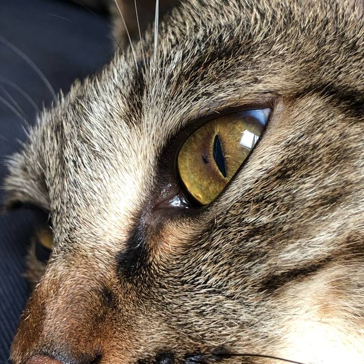 7710e1ce a0b7 4c3c 89c7 478d4d3139bd 1564062223032