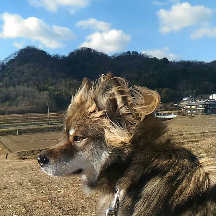 771139a9 298c 4166 be8d 3547f0d67fcf 1516771593998