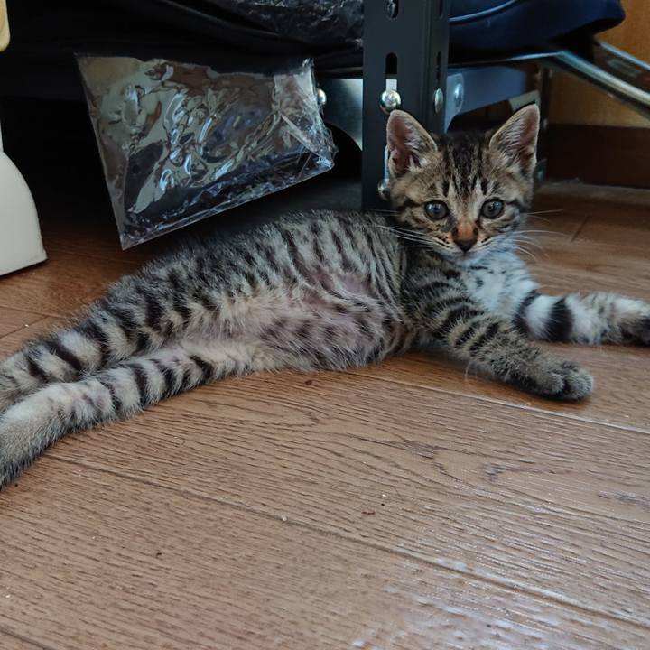 77118ab6 f55d 4476 874e dca3672b7684 1558662279735