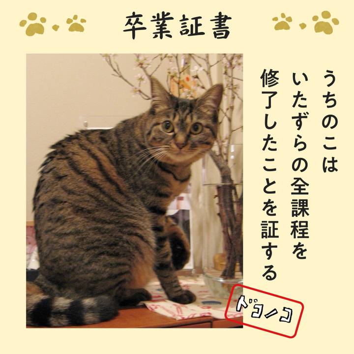 7711c70e eb3e 4056 884b 57243caf4d9b 1771936720384