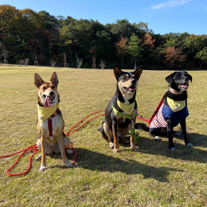 77127f8c 8eac 466a 815b 12ac68df73f7 1605444294041