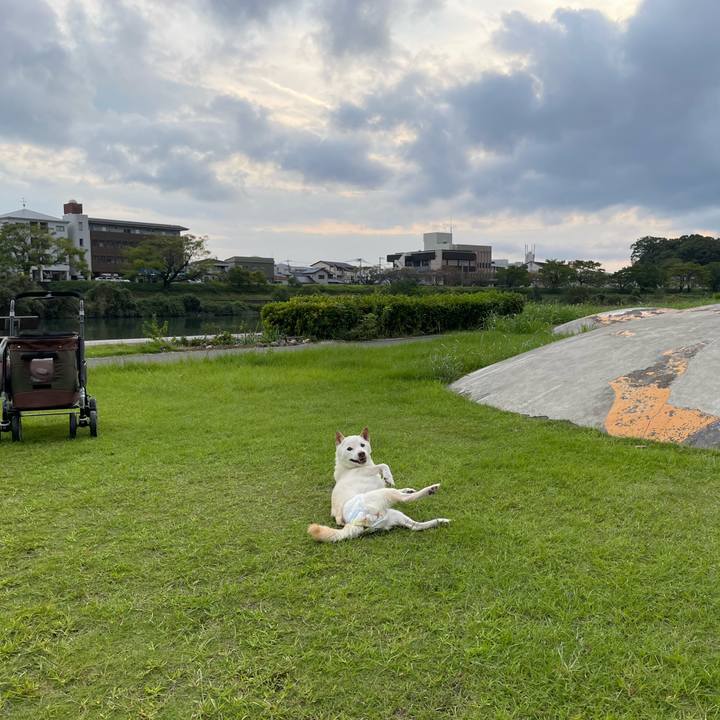 77129e25 1e90 4e25 955b 0d055ea917c3 1664884549758