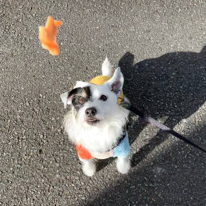 7712af15 9b54 4f8d 9e50 ba6c26cae87b 1735089182994