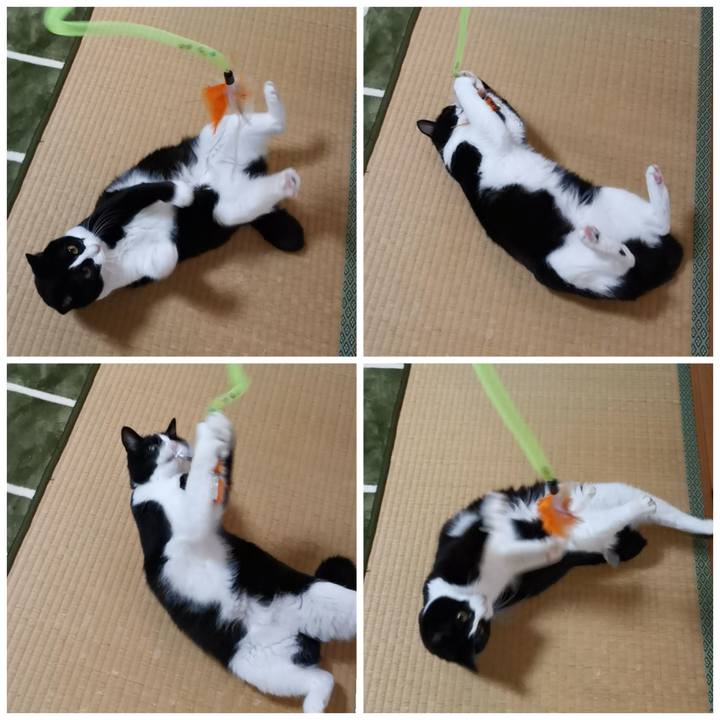 7712af49 12ff 41a6 aa28 b659fbcdcbf3 1606362713974