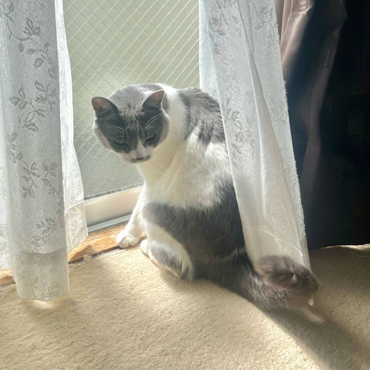 7712bbae beb7 46da 872e 3d7b17635ff4 1678847331798