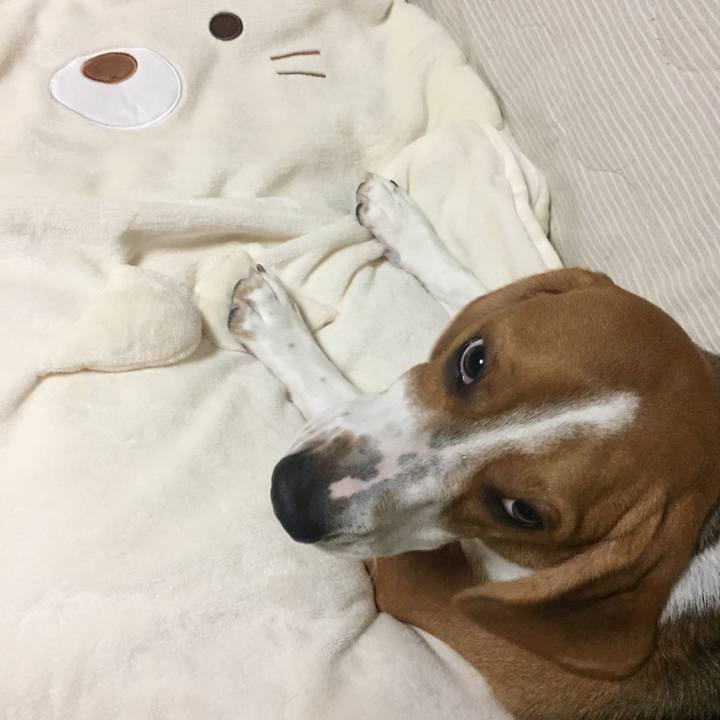 7712e936 77a3 465c 8073 bb3d6367fce2 1539610015137