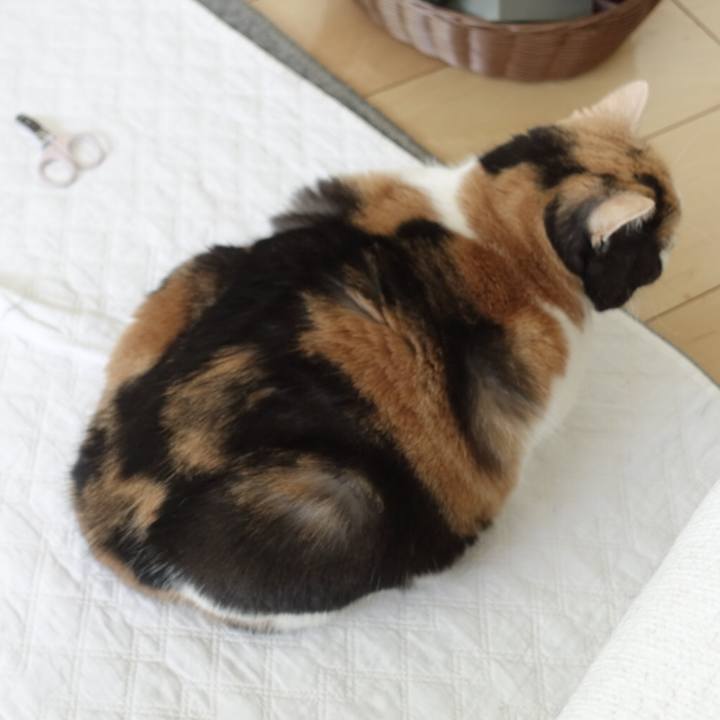 771302b1 4ea9 48e4 b6f1 c31c0175aede 1515219653407