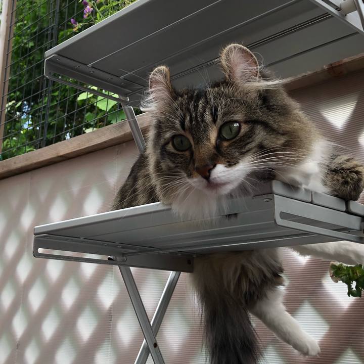 77135b9b f094 45bf 9e28 f8401c3d1479 1531877838510