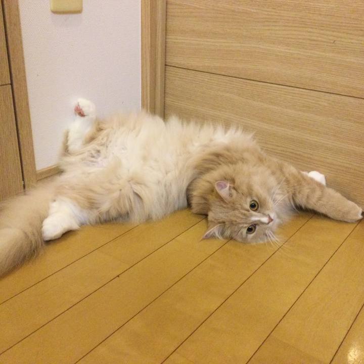 77137851 ad40 4a44 96e7 18fed0436663 1629458461197