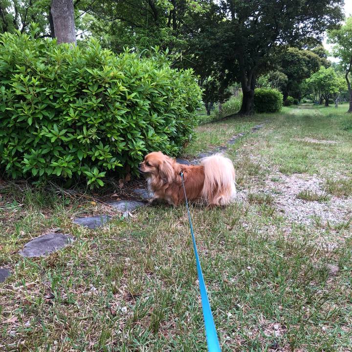 77139115 2d7b 4073 87f1 7b8ae33b7773 1559513382696