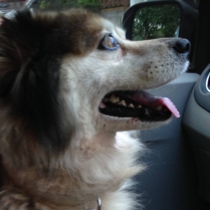 7713a488 633e 4a76 a7e3 0993d8556836 1592957739055