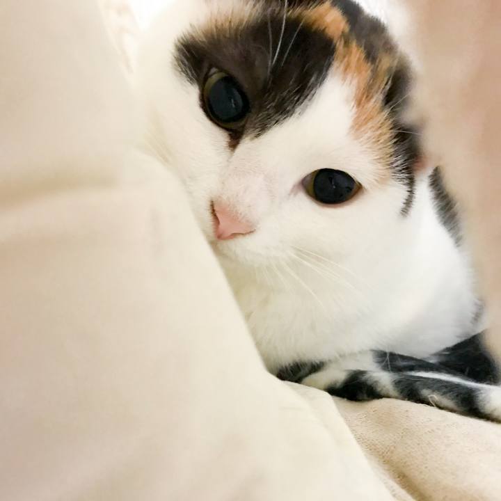 7713a862 7e3b 46d1 a0be d4380390e680 1520864812718