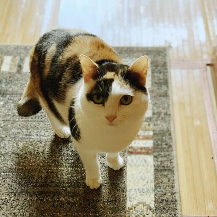 7713acd7 2715 47d3 9a0d 2bc36495d9de 1584671240719