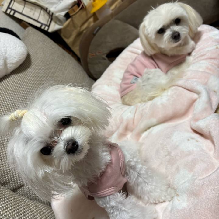 7713bf4f e905 4bb6 8c62 bd6984c75c9e 1738660420900