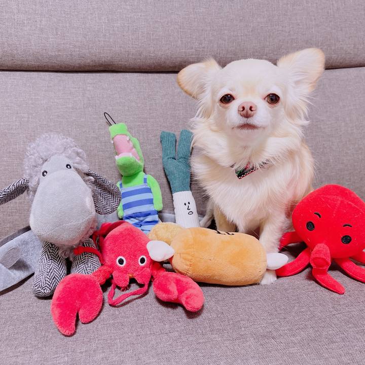 7713c08f 4668 4fc2 929d bb3491f54a21 1677410808857