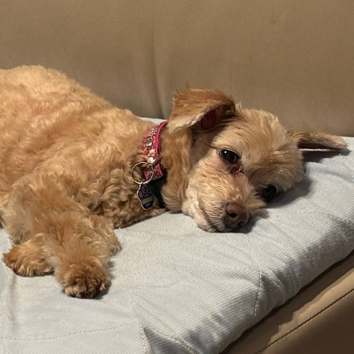 7713c8f6 6056 4a93 b7a8 71894492a3ff 1726483070462