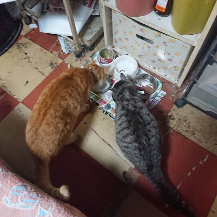 7713c948 896b 44a2 afd0 2a9acc1ce1e1 1590615444667