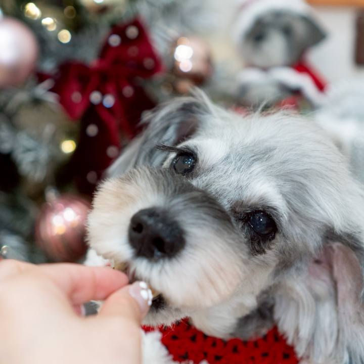 7713dffe 2cd9 4486 9920 c5c3fbed842f 1762086909389