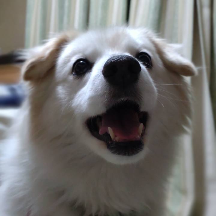 7713eae7 2499 474b a644 92444bb3e0e2 1648502186597