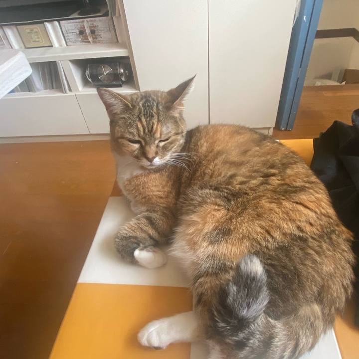 77147385 9ed8 4405 a86b 70668c9d2581 1746334597226