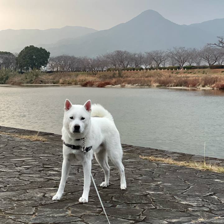 77147bea 5e83 4fc0 9948 2825221db2aa 1610751326446