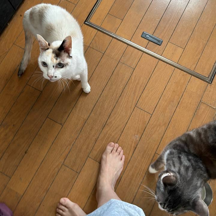 77147bf6 cebe 4f3c b59e 474a91b2577f 1773528506099