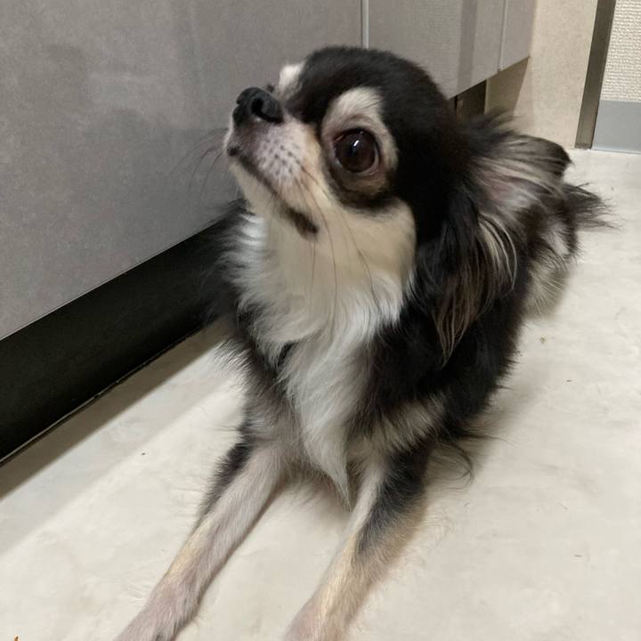 771494af a8b8 44c0 95a6 37a2f457feb5 1664721550356