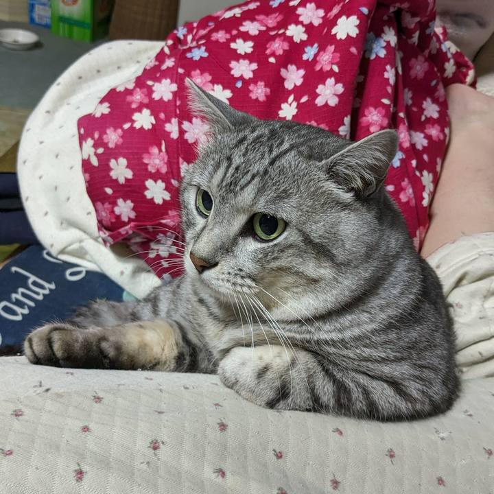 7714a1f1 f9f9 4844 afa0 8c5921d36a44 1701878584335