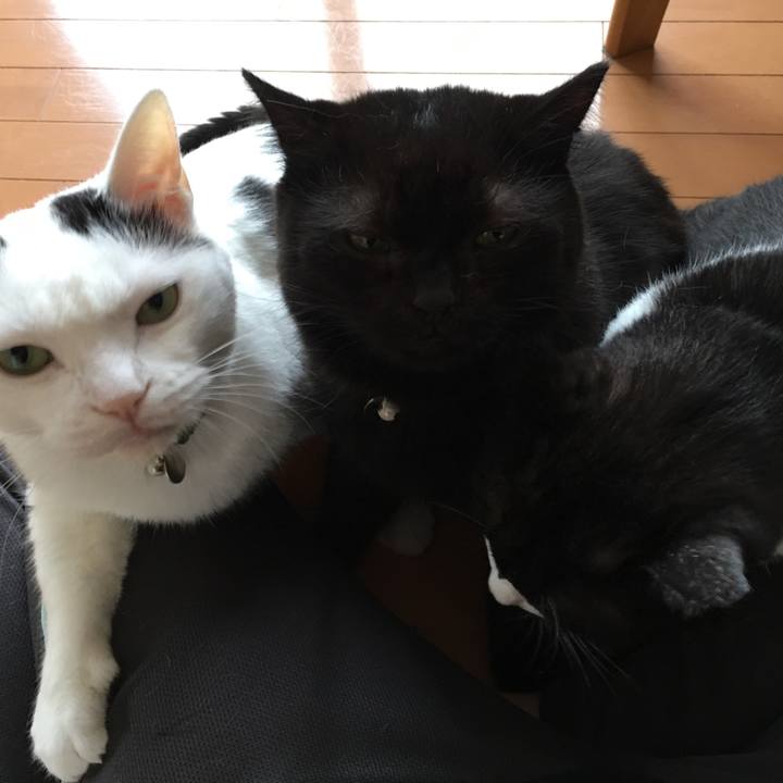 7714b96e 4ad1 4447 83e7 3d06a88122e6 1568631992061