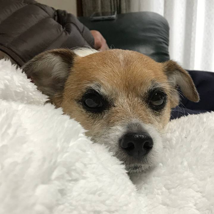 77153ad4 cabf 4299 bb3a c62223da99f8 1579765836013