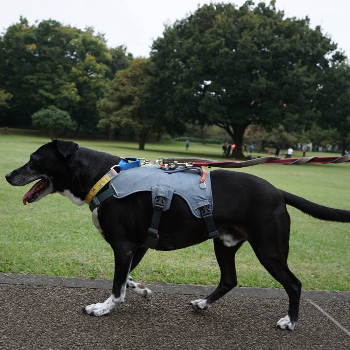 77154766 5e59 4a8a 968f 3e9ed59e4a2a 1760315635113