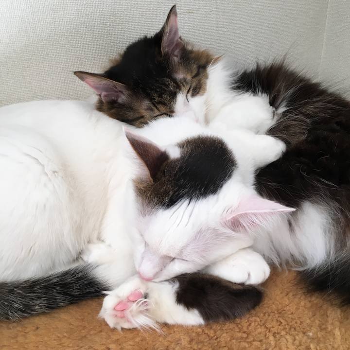 77154c9a 52be 4729 9cbd 117d91a944a5 1546645778947