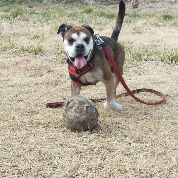 77155da2 5e83 48dc b2df 9fc620e108d7 1647179715381