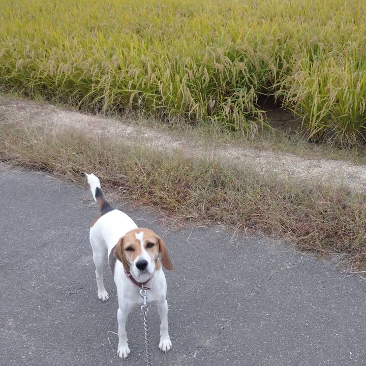 77157ca7 98ce 4d62 8fd1 878ddd2906ef 1602057240874