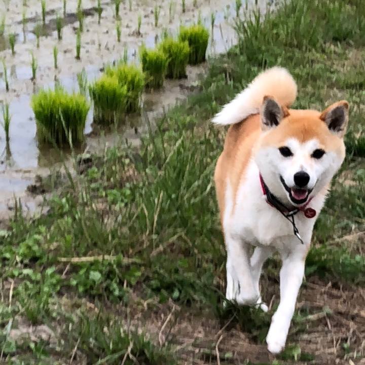 7715c9fa 6ddf 4169 ac6b db386664186f 1528193927957