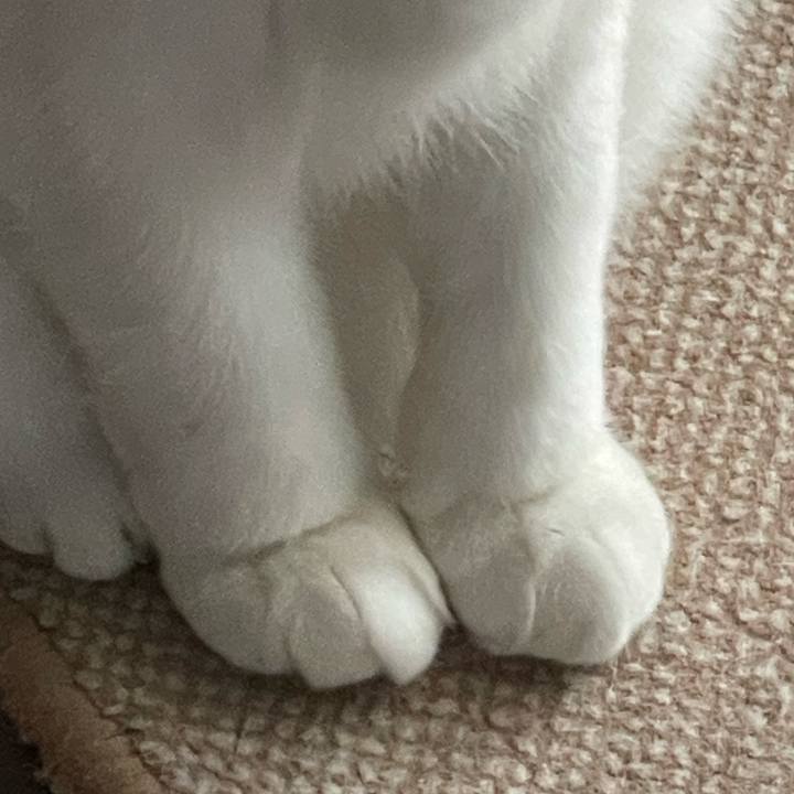 7715fa2a d629 47d5 8603 9862b01f0699 1702106025636