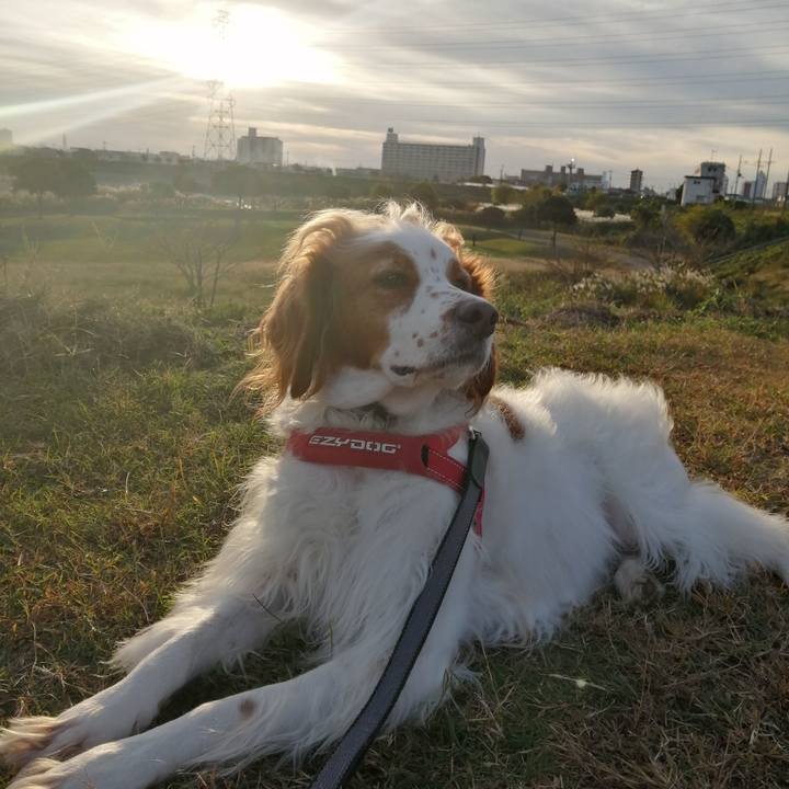 7715fd14 70d0 4240 b2d5 5a91881d6188 1573377447926