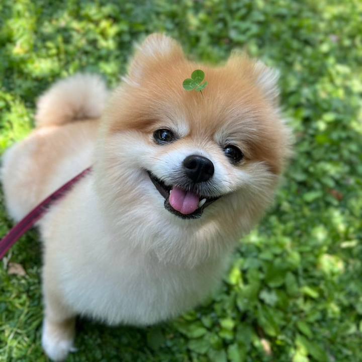 77161168 0192 40a9 9f08 2a3425836e77 1730296048825