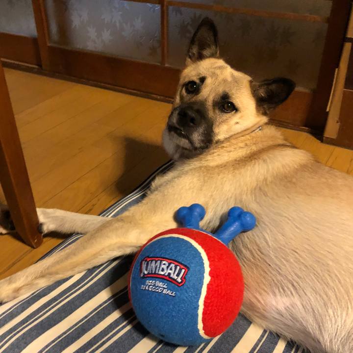 77162f1d ef1f 45b9 8076 2c47e7c316df 1538483365239