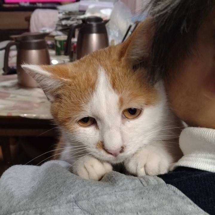 7716a49d e5cd 4de9 bc45 c9f022ca3f7f 1733652280290