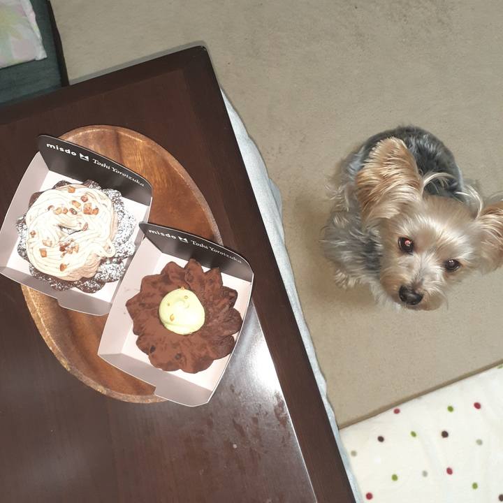 7716b01a e97b 4a0b a10c 41c347895f9f 1673676882222