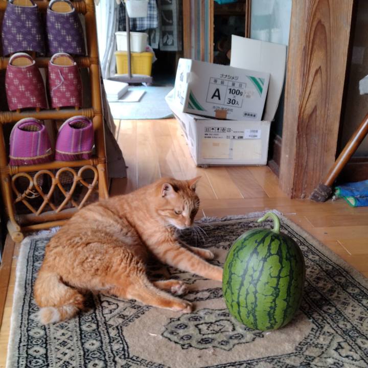 7716d41d cba3 463b 9437 8adfd7dd2502 1722221757990