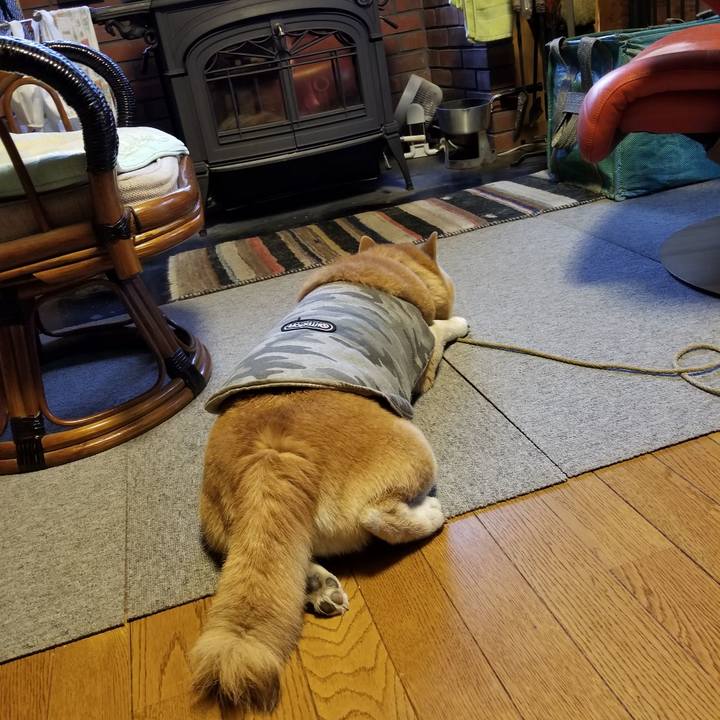 7716e067 95de 4c28 b39a 7a85cda19c92 1616312557530