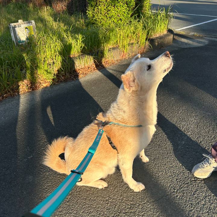 7716ebae 9f1e 4810 aba3 0ad3fa293173 1763427621680