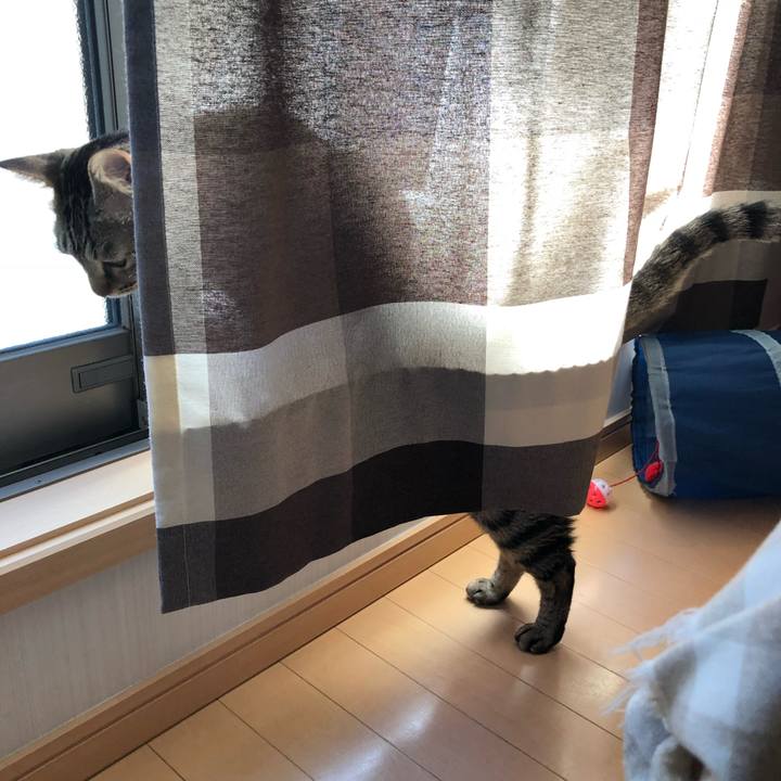 7717159b 87b0 4a02 bbbf 7e9d98919bb3 1541289734918