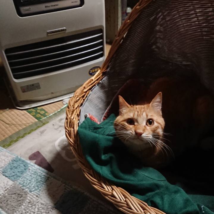 771720d0 32f7 486d bd3f 609c8f6bdad0 1645567023194