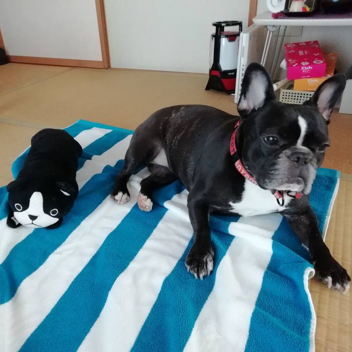 771735cd c512 4d03 9771 a4b895835963 1535674397618