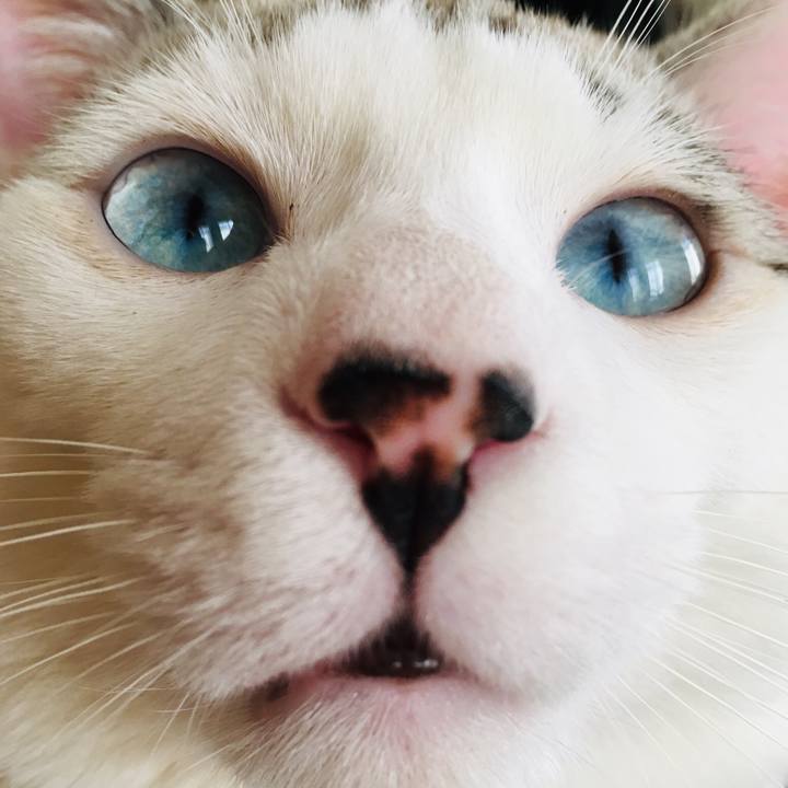 77174bc4 f894 409f a576 0e4bf36520b3 1547998138619