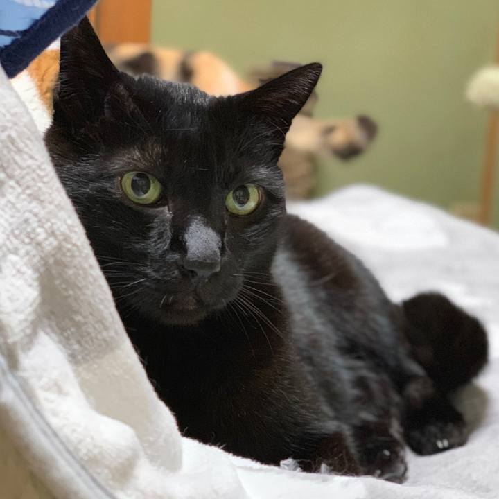 77177da2 ddff 42bd 809c cc42e0667e08 1556758107852